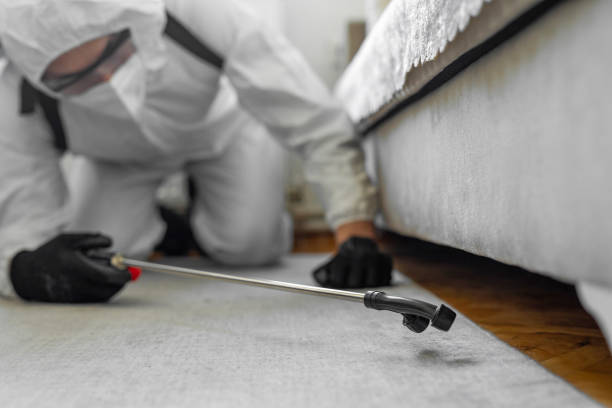 Professional Termite Control technician working in Muncy, PA